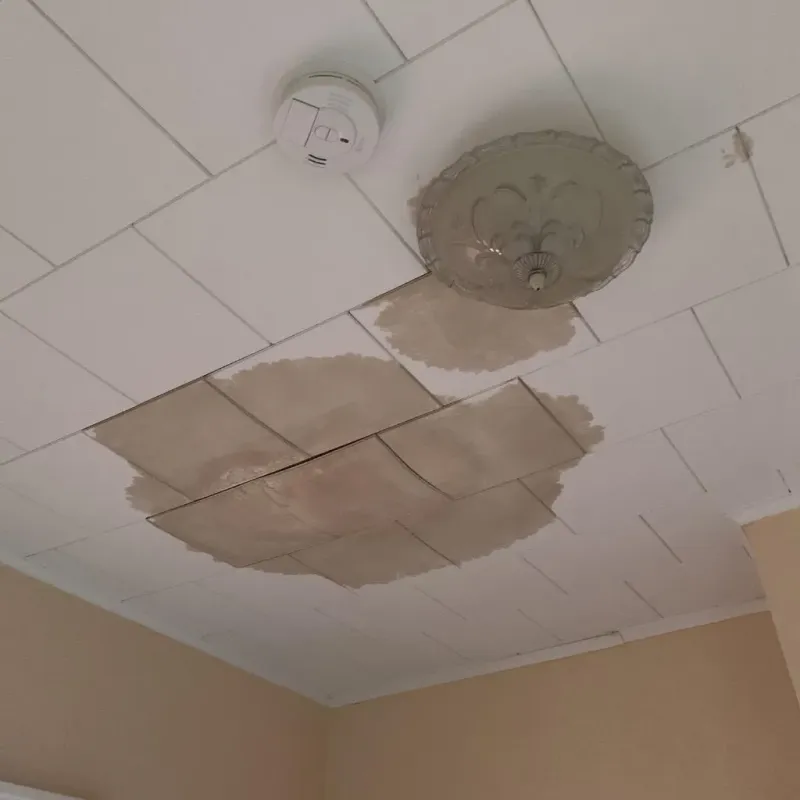 Ceiling Water Damage Repair in Midland, MI