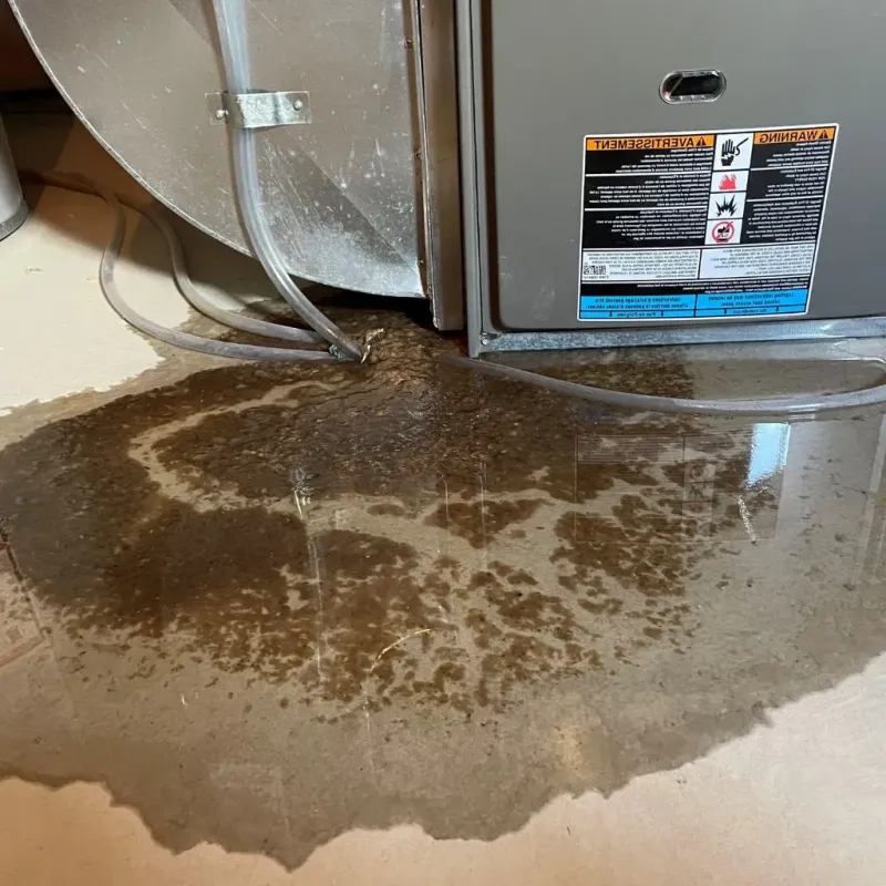 Pipe Burst and Leak Restoration in Midland, MI