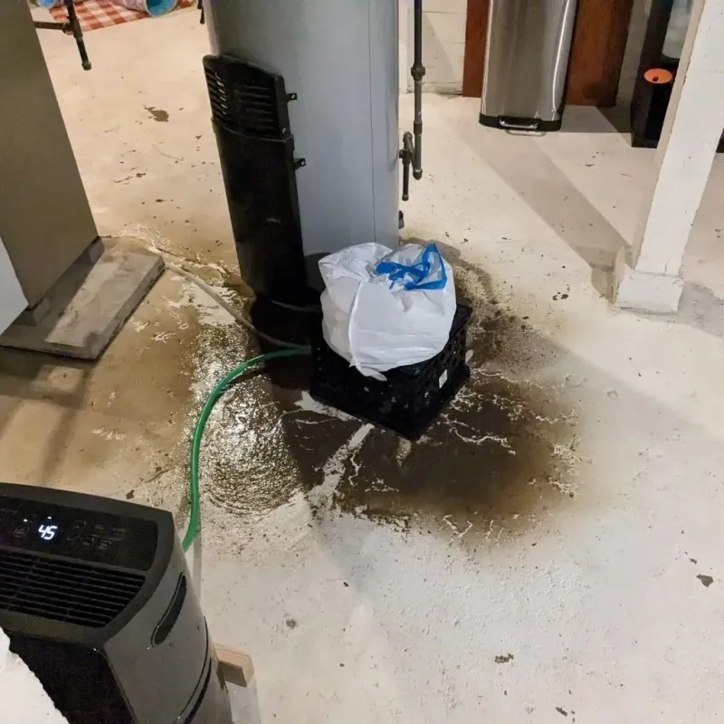 Sewage Backup Cleanup Service in Midland, MI